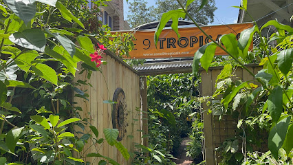 Zone 9 Tropicals