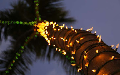 Christmas Lights Houston