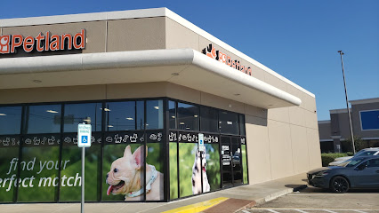 Petland Webster