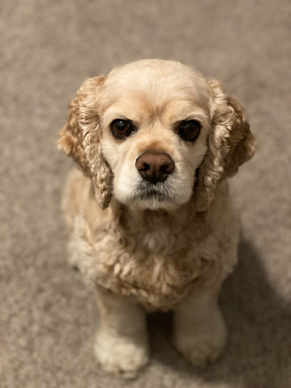 PetWorks Express