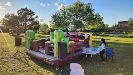 Mechanical bull 