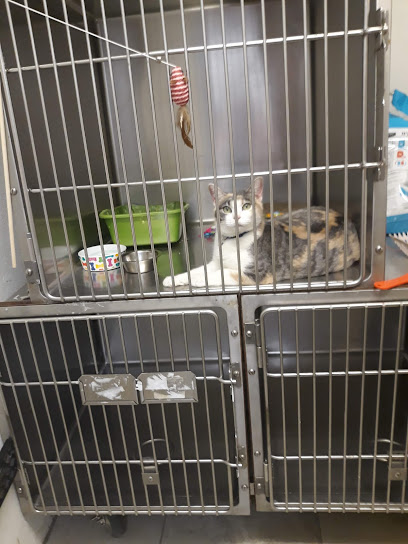Fairmont Pet Hospital