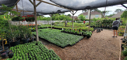 Tran Nursery