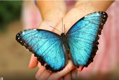 CranioSacral Therapy of Houston