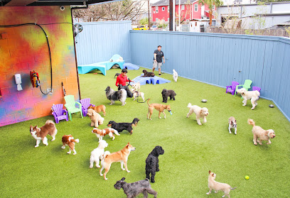 The Best Little Dog House In Texas