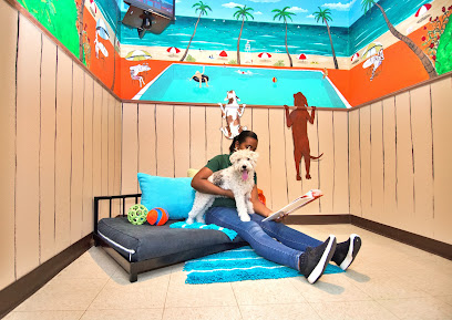 Rover Oaks Pet Resort, Houston