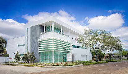 Vitenas Cosmetic Surgery