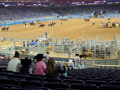 Houston Livestock Show and Rodeo