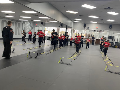 Tiger-Rock Martial Arts of Katy