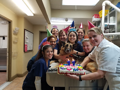 Central Houston Animal Hospital