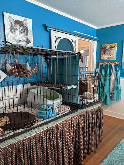 Save A Purrfect Cat Rescue