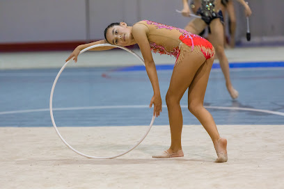 HRG Houston Rhythmic Gymnastics