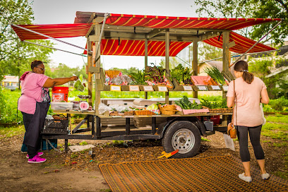 Plant It Forward Farms @ University of St Thomas