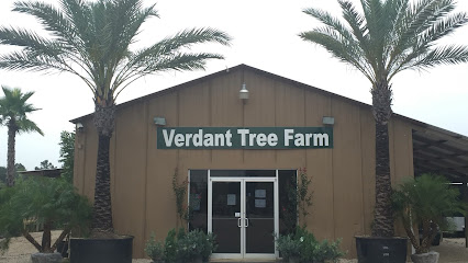Verdant Tree Farm
