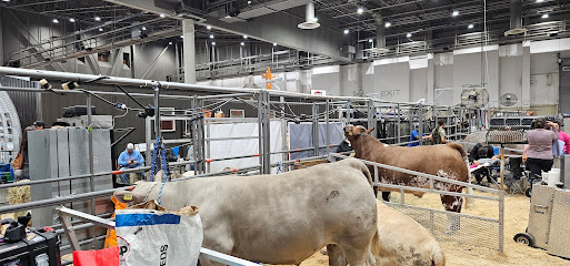 Rodeo